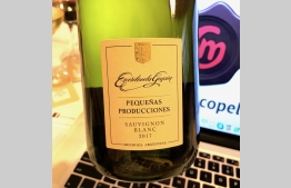 Pequeñas Producciones Sauvignon Blanc