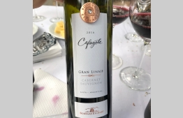 Cabernet Sauvignon Gran Linaje
