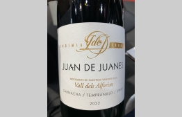 Juan de Juanes  Bronze