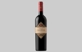 Viñedo Chadwick