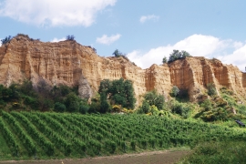 Valdarno di Sopra: precisão, identidade e um salto qualitativo