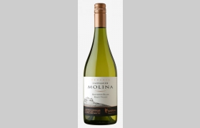 Castillo De Molina Sauvignon Blanc Reserva