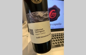 Galil Cabernet Sauvignon