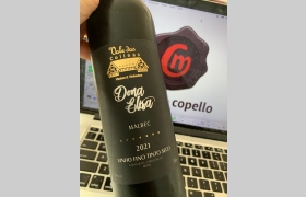 Dona Elisa Malbec