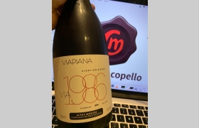 Via 1986 Pinot Noir