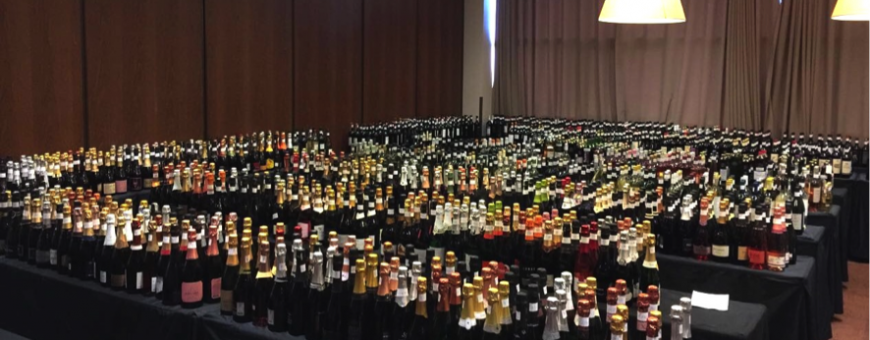 Grande Prova de Vinhos do Brasil 2016 surpreende jurados internacionais e os próprios brasileiros pela qualidade e variedade dos rótulos nacionais