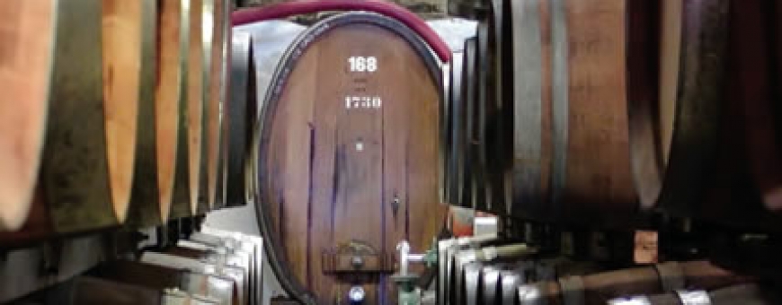 Como o carvalho altera aromas e sabores do vinho Como o carvalho altera aromas e sabores do vinho