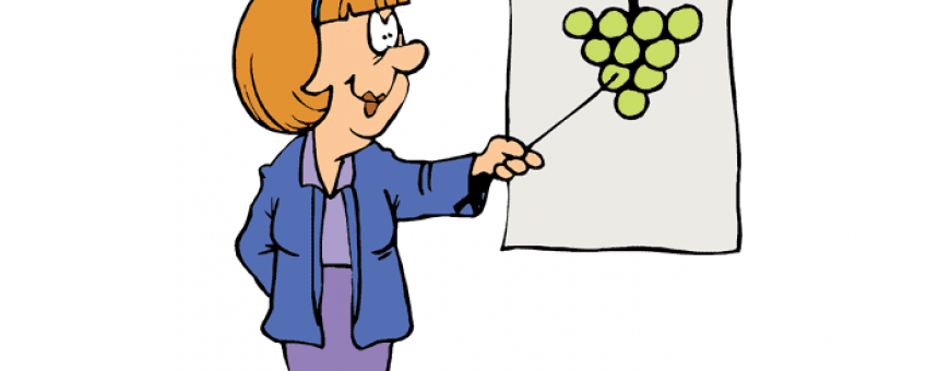 Aprenda a degustar um vinho