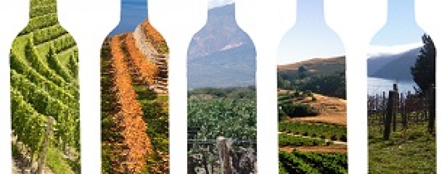 O que é Terroir?