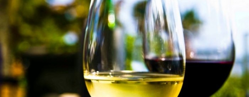 Dez motivos para apreciar vinhos brancos Dez motivos para apreciar vinhos brancos