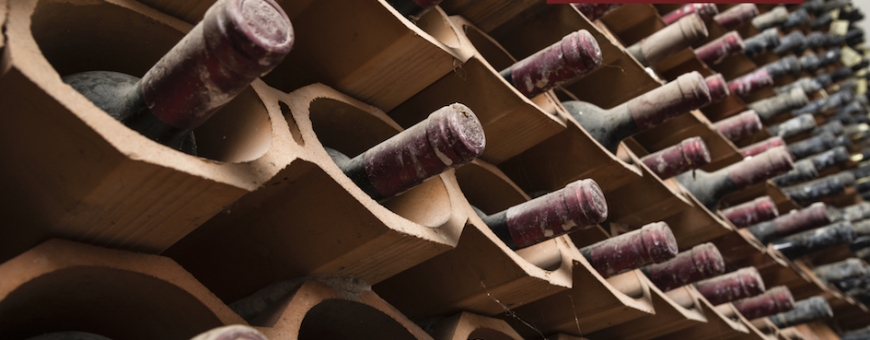 Vinhos brasileiros RAROS no Rio Wine and Food Festival