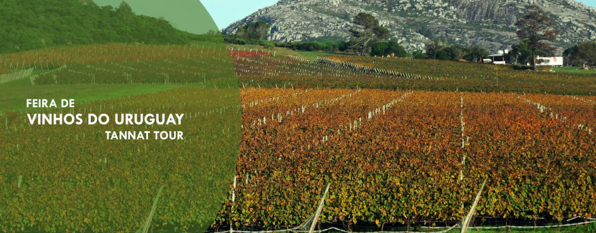 URUGUAI - 29 Bodegas estão no RWFF, VENHA DEGUSTAR! URUGUAI - 29 Bodegas estão no RWFF, VENHA DEGUSTAR!