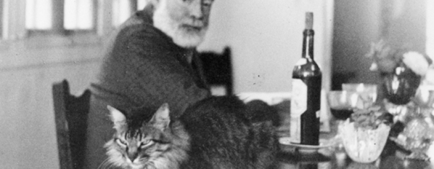 Vinho & Ernest Hemingway