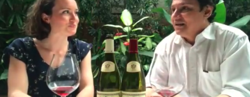 Marcelo Copello entrevista Marie Dardouillet, da Maison Louis Jadot