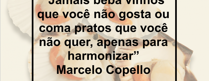 Jamais beba vinhos que você não gosta ou coma pratos que você não quer, apenas para harmonizar