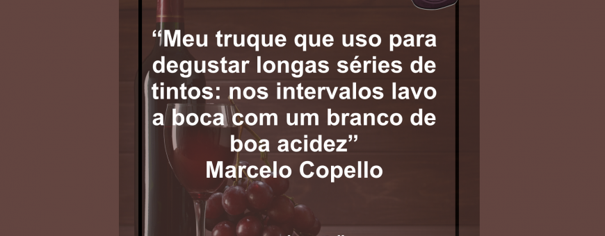 truque para degustar tintos