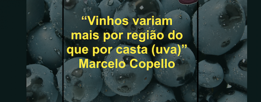 Vinhos variam mais por região do que por casta