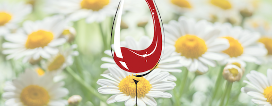 Primavera, renovação e vinhos