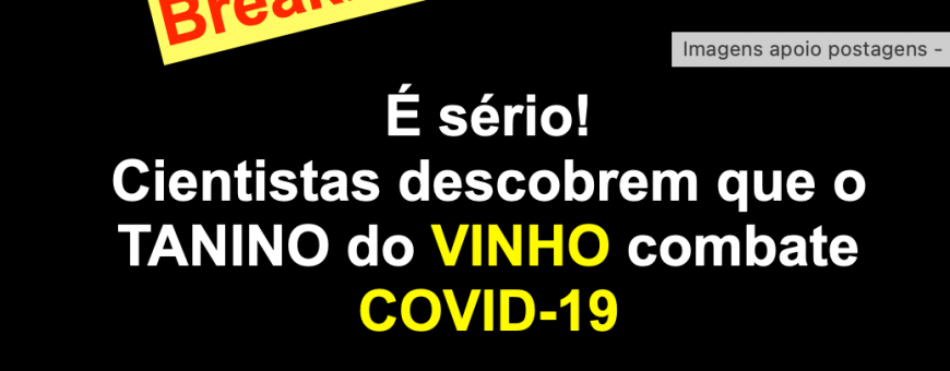Cientistas descobrem que o TANINO do VINHO combate COVID-19 Cientistas descobrem que o TANINO do VINHO combate COVID-19