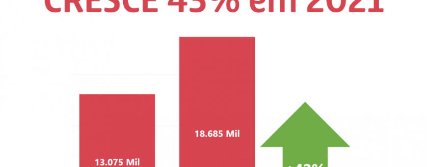 Mercado cresce no 1o semestre de 2021