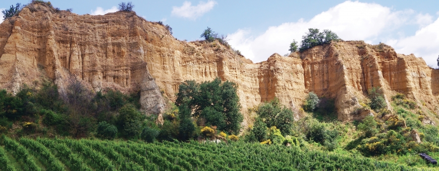 Valdarno di Sopra: precisão, identidade e um salto qualitativo