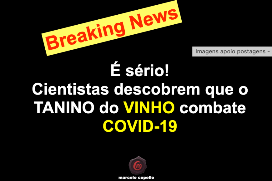 Cientistas descobrem que o TANINO do VINHO combate COVID-19 Cientistas descobrem que o TANINO do VINHO combate COVID-19