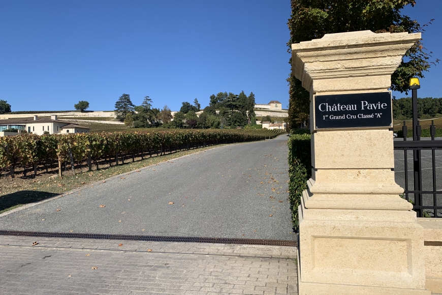 Marcelo Copello visita Château PAVIE